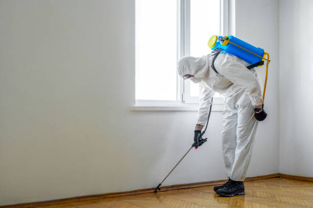 Best Residential Pest Control  in Upper Grand Lagoon, FL